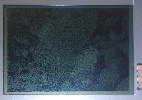 Image on monochrome LCD